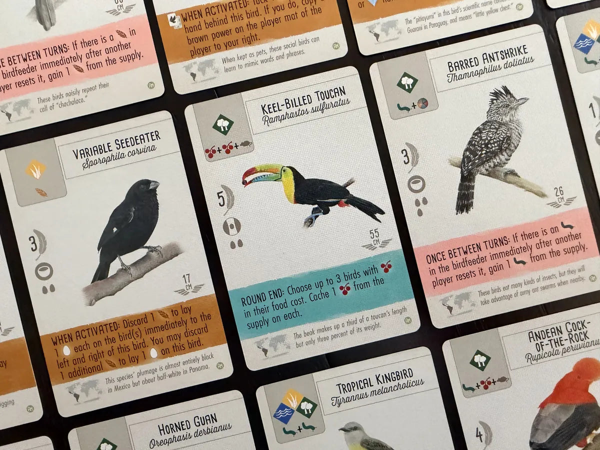 Wingspan: Americas Expansion