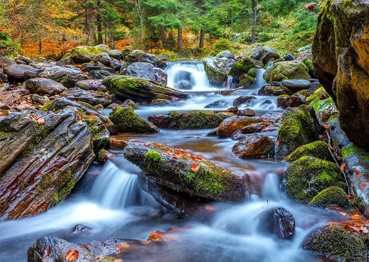 Enjoy Puzzle - Forest Stream in Autumn