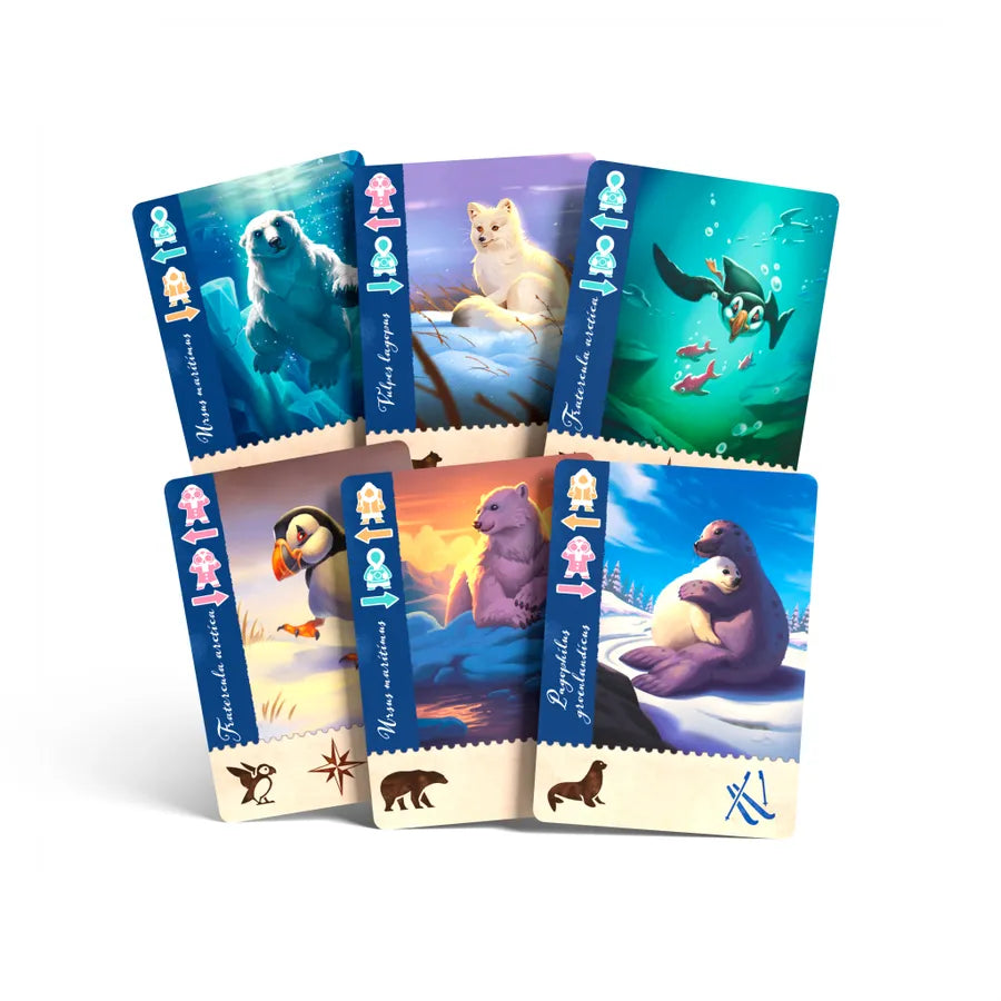 Borealis: Arctic Expeditions