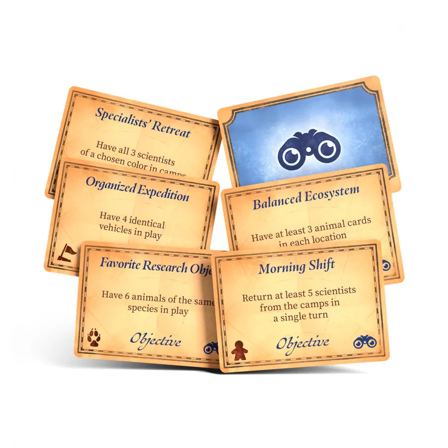 Borealis: Arctic Expeditions