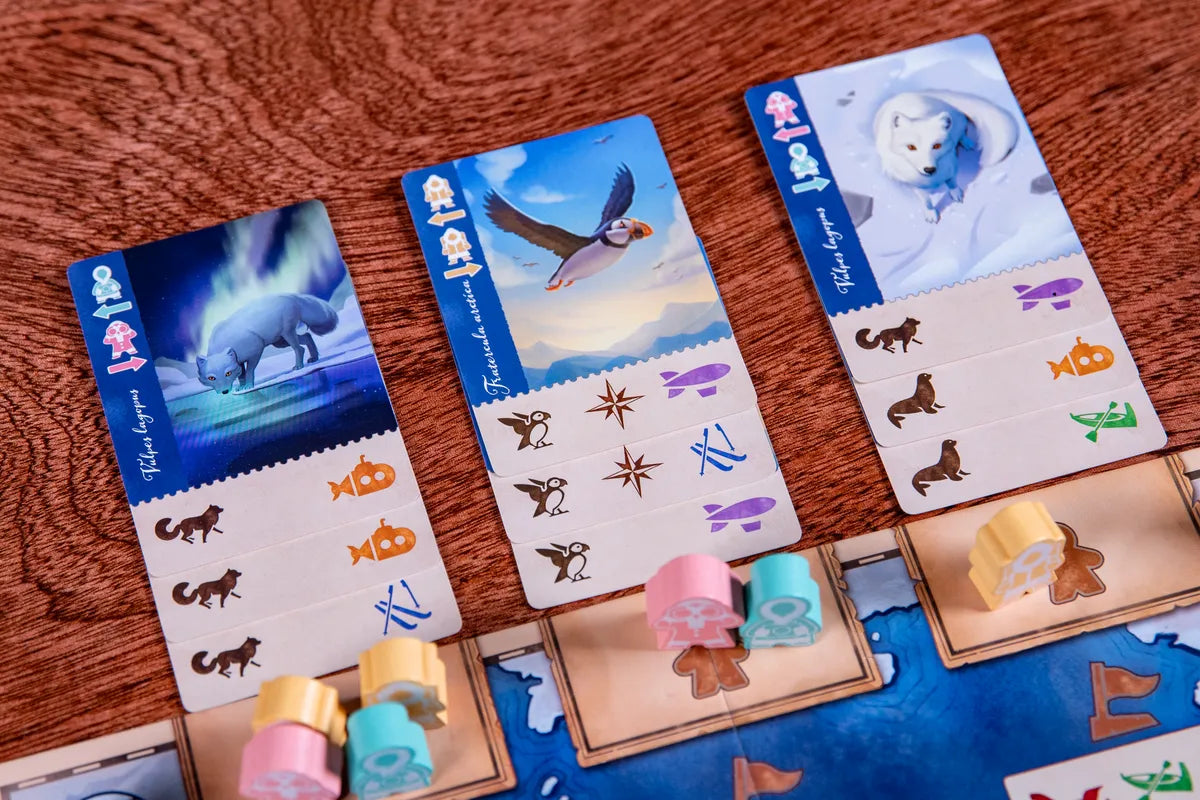 Borealis: Arctic Expeditions