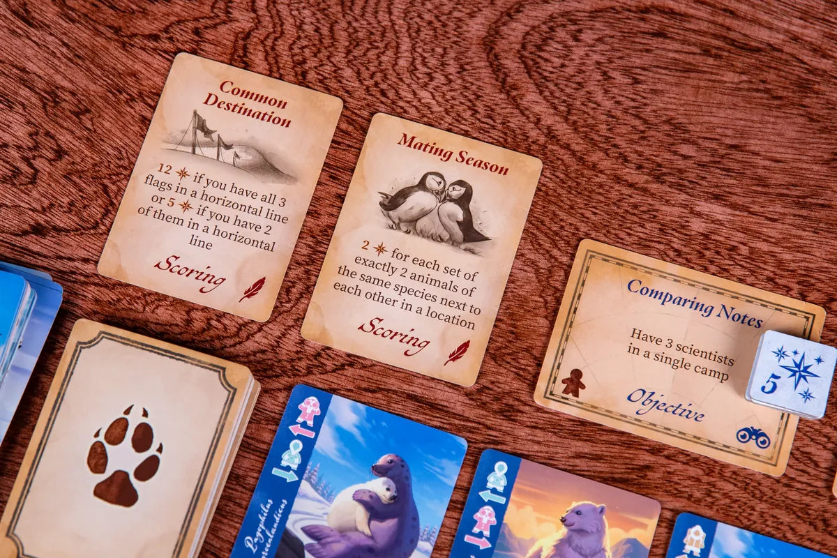 Borealis: Arctic Expeditions